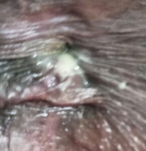 WhatsApp-Image-2024-10-29-at-02.35.09_868a7732 (1)